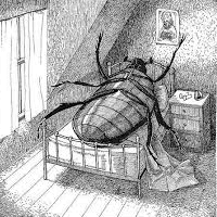 kafka's metamorphosis